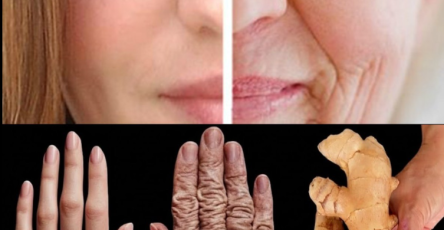 Capture decran 2026 03 01