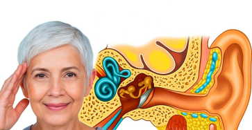 Capture decran 2026 03 05 025102