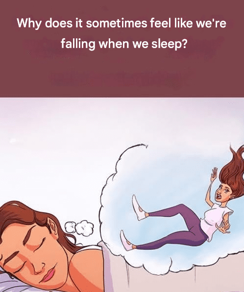 Capture decran 2026 03 05 025102