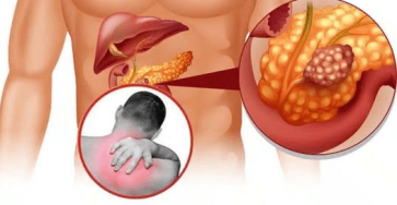 Capture decran 2026 03 05 025102