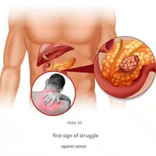 Capture decran 2026 03 05 025102