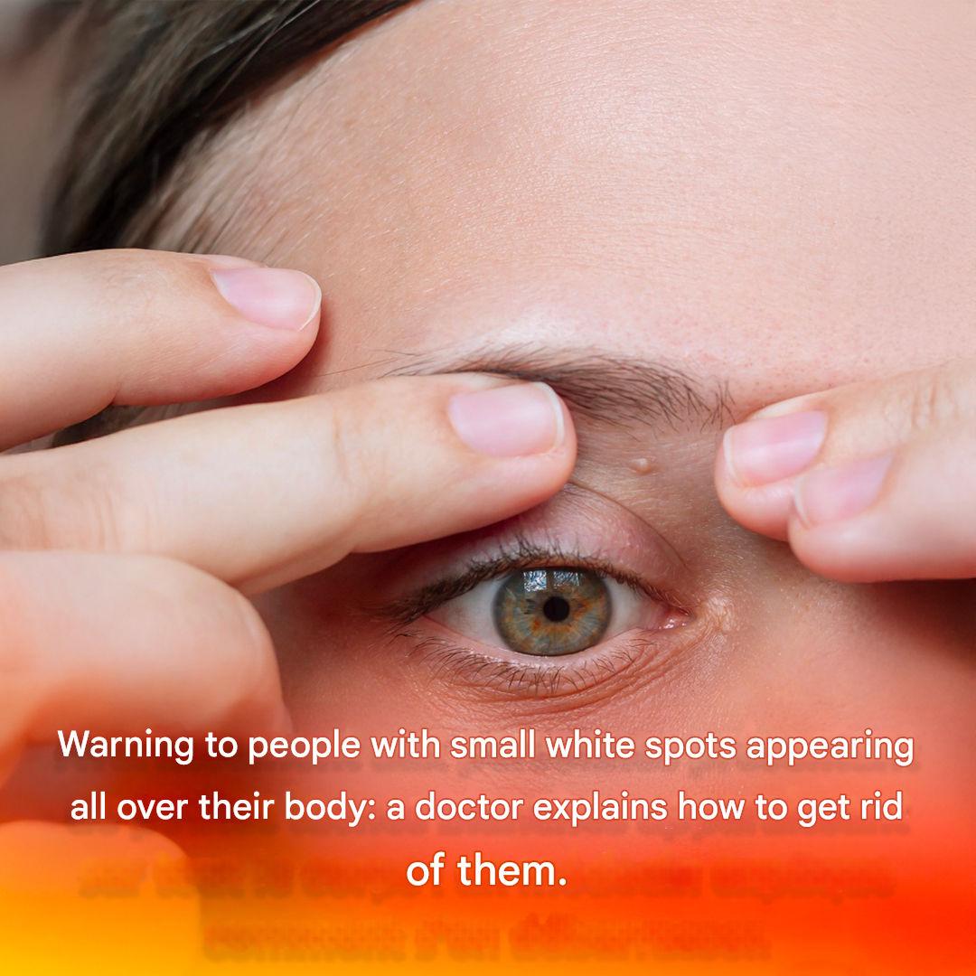 Capture decran 2026 03 05 025102