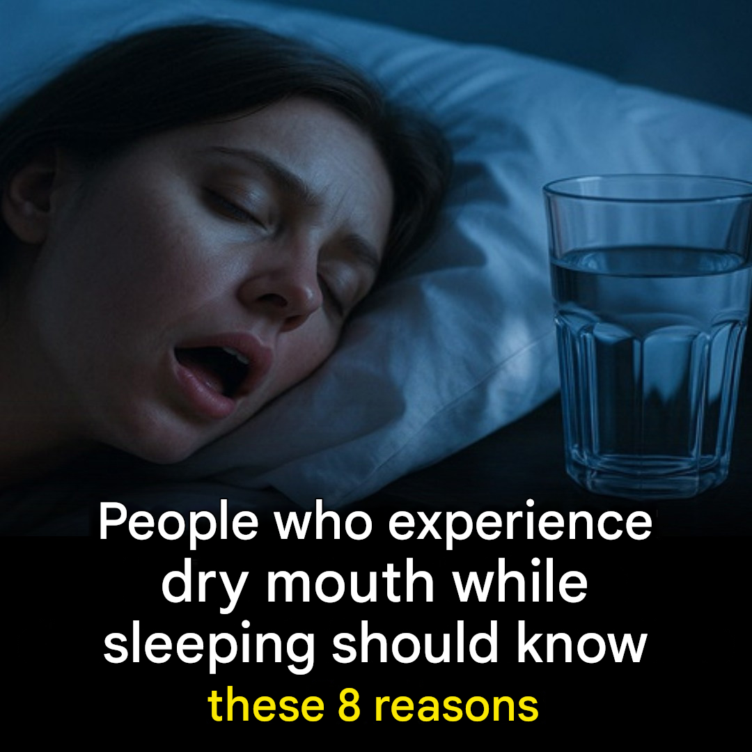 Capture decran 2026 03 05 025102