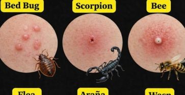 ChatGPT Image 1 mars 2026 17 36