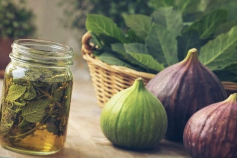 Picsart 26 03 03 11 09 25 349 768x512