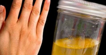 Screenshot 20240419 201154 Brave