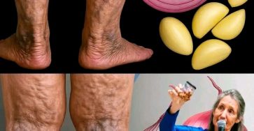 WhatsApp Image 2025 09 09 a 04.26.16 9c4f5b6e