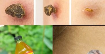 WhatsApp Image 2025 09 17 a 23.46.21 1b985398