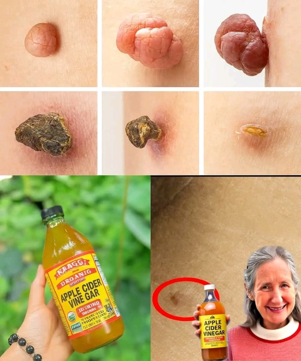 WhatsApp Image 2025 09 17 a 23.46.21 1b985398