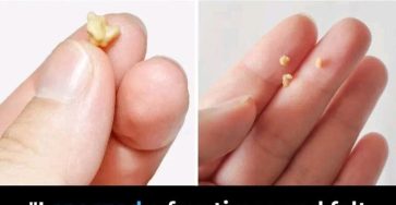 WhatsApp Image 2025 09 23 a 18.03.12 80a63511