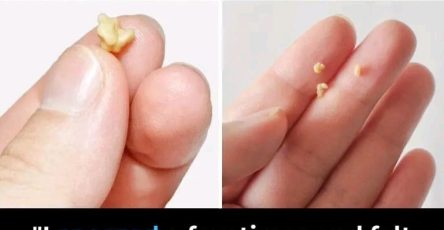 WhatsApp Image 2025 09 23 a 18.03.12 80a63511