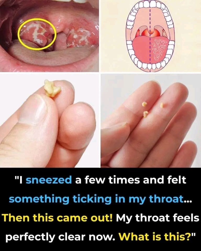 WhatsApp Image 2025 09 23 a 18.03.12 80a63511