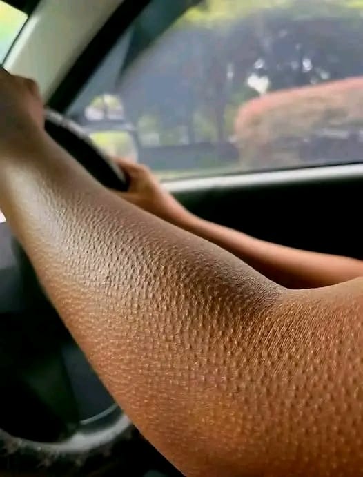 WhatsApp Image 2025 10 08 a 17.37.44 101290f8