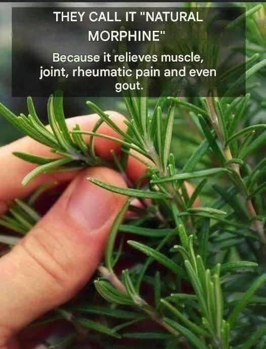 WhatsApp Image 2025 12 13 at 19.42.10