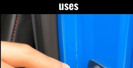 WhatsApp Image 2026 02 02 at 23.36.37