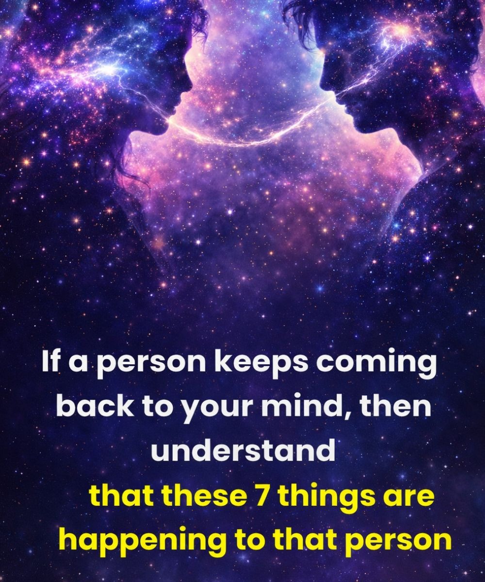 WhatsApp Image 2026 02 07 at 21.31.57