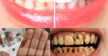 WhatsApp Image 2026 02 13 at 01.46.07