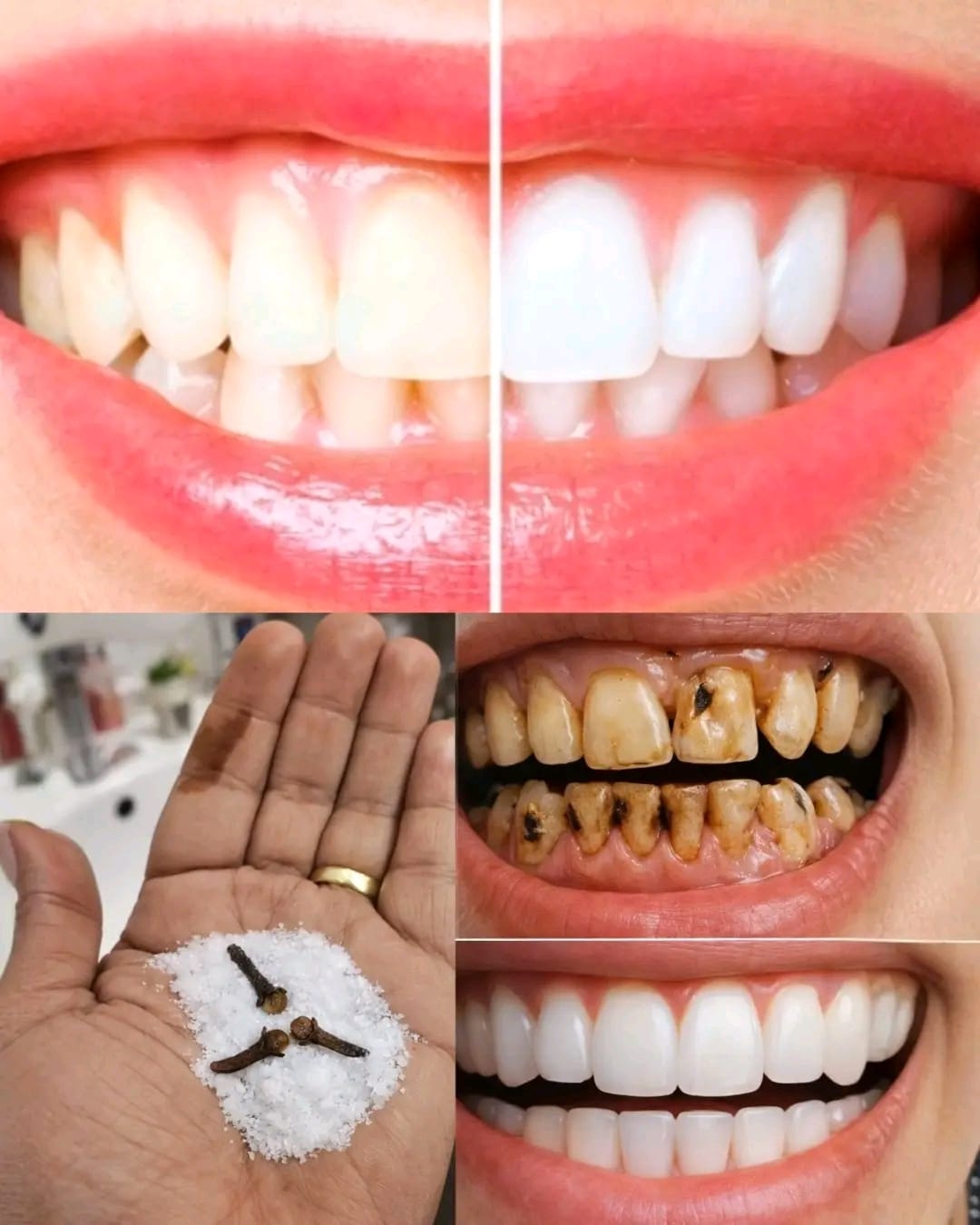 WhatsApp Image 2026 02 13 at 01.46.07