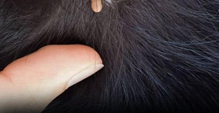 WhatsApp Image 2026 02 14 at 11.43.51