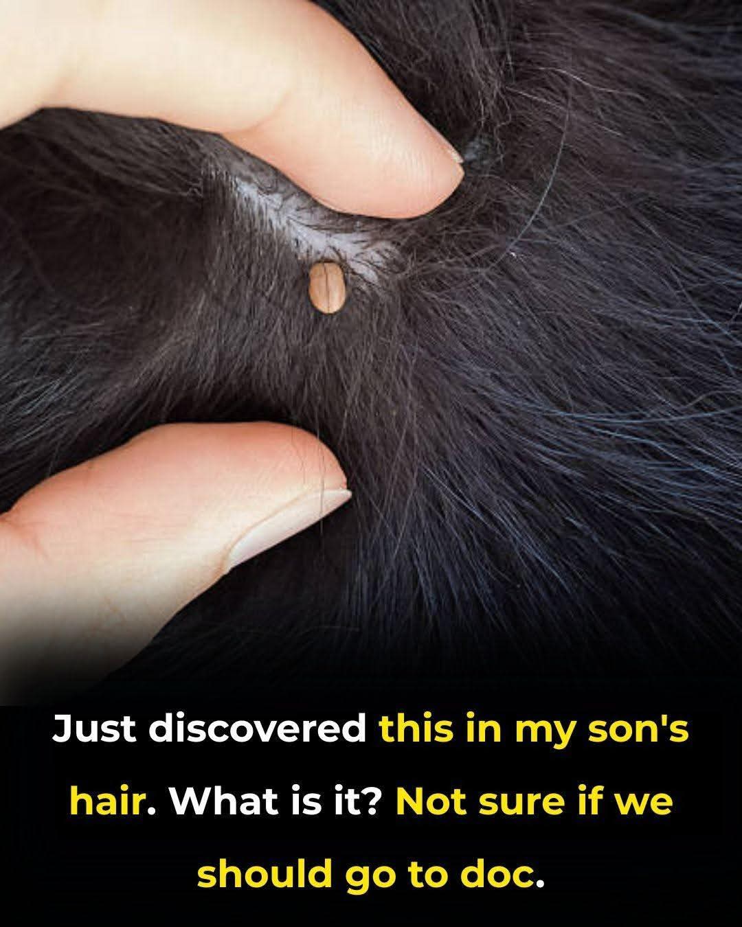 WhatsApp Image 2026 02 14 at 11.43.51