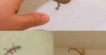 WhatsApp Image 2026 03 09 at 03.05.24