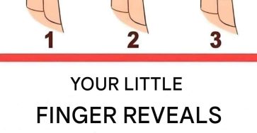 WhatsApp Image 2026 03 17 at 12.13.11