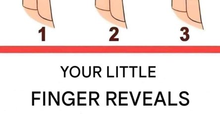 WhatsApp Image 2026 03 17 at 12.13.11