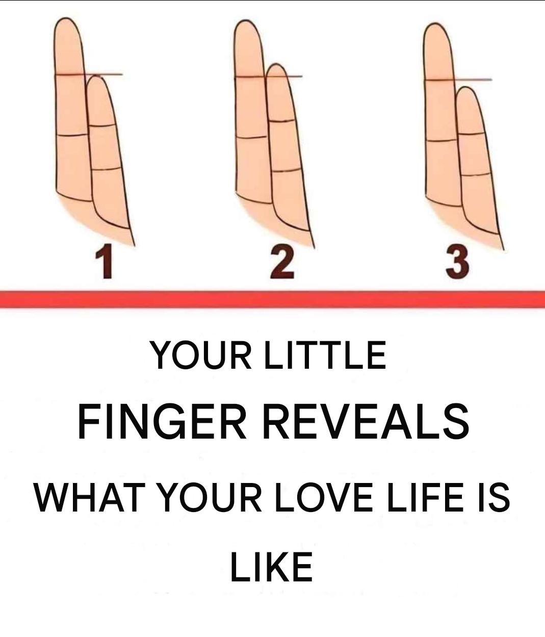 WhatsApp Image 2026 03 17 at 12.13.11