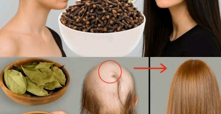 B387e4bf 78de 483d b96e 7928bac0e052