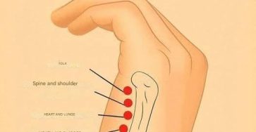 Dd6e752d d607 4589 a20c 3deff7afdcbe