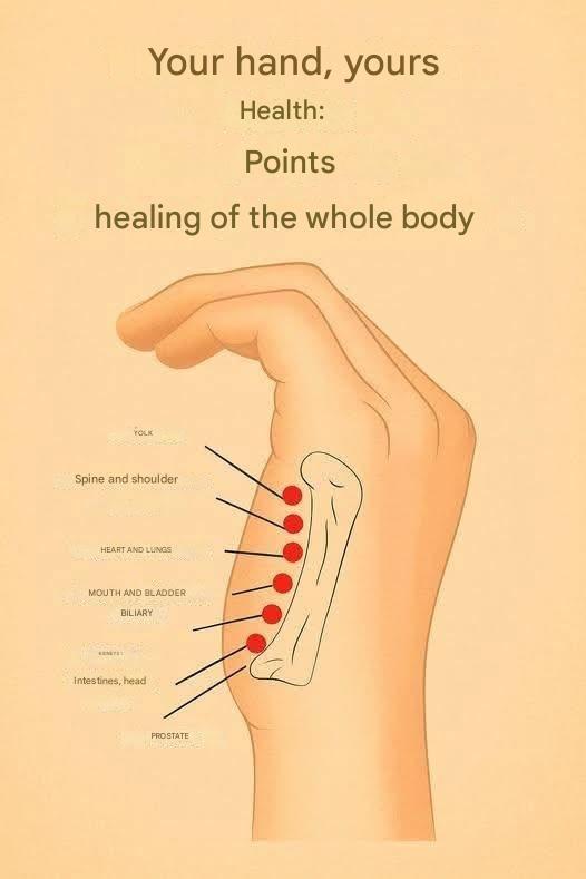 Dd6e752d d607 4589 a20c 3deff7afdcbe