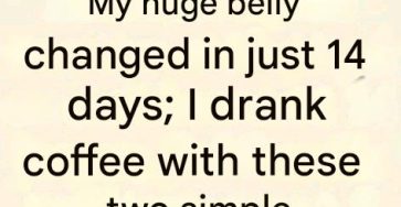 E3eed06d 0835 4195 aa57 cfadb9d41020