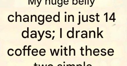 E3eed06d 0835 4195 aa57 cfadb9d41020