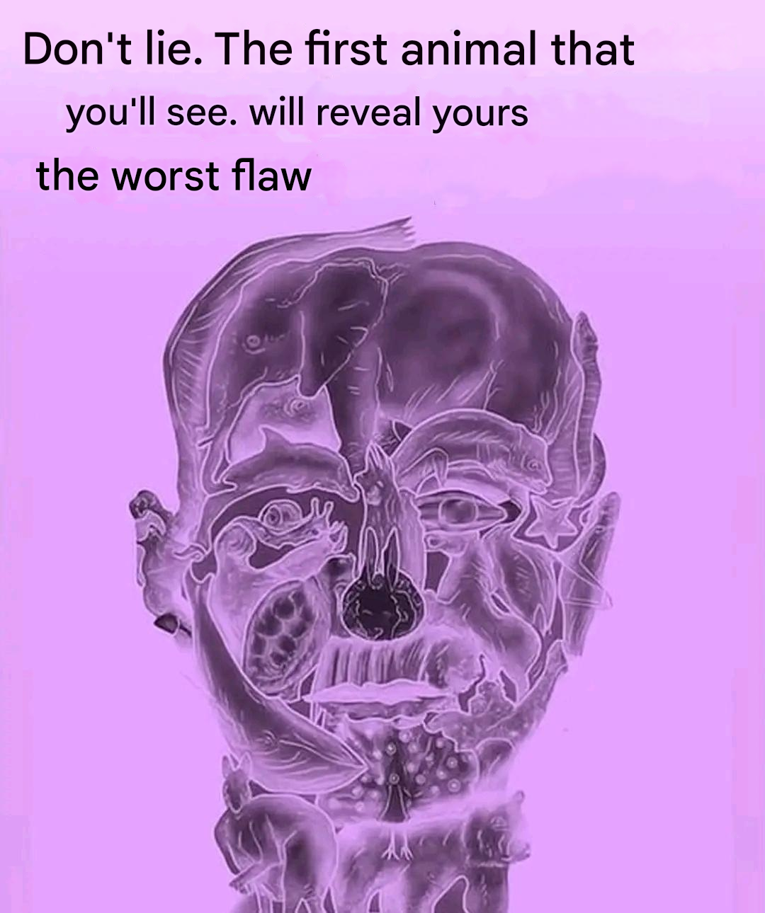 F5830f08 e4a5 4829 a14d 38edc5f3ad9d