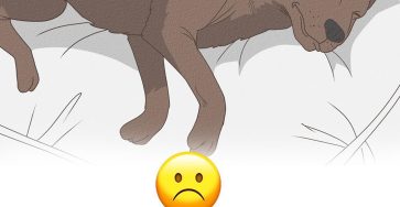 F7feac50 9626 4d7f 8533 e2e39dcd7c2d