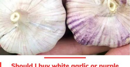 Fb7927146ec7d7b1feb8e0c91bd0f30a