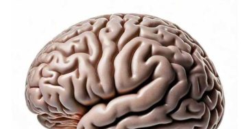 Fc40bca0 9013 40fc afce 2940fc6ccb0d