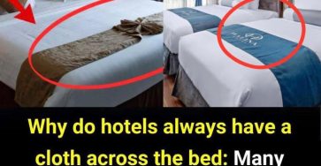 Jzf5t71BXWRz1V7i2Fusj7hnUvVIJWFbIFKBjtcw