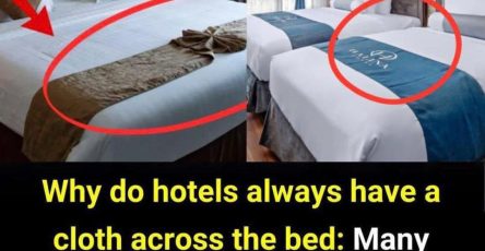 Jzf5t71BXWRz1V7i2Fusj7hnUvVIJWFbIFKBjtcw