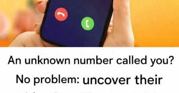 Photo 2026 02 18 17 05 41 (1)