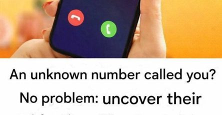 Photo 2026 02 18 17 05 41 (1)