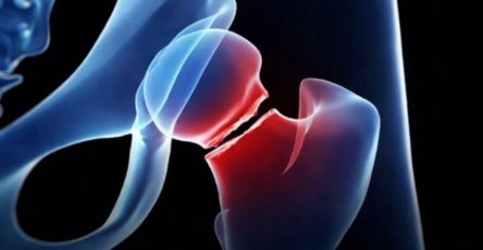 Photo 2026 02 21 13 53