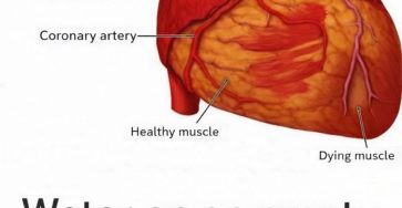 Photo 2026 02 22 14 02