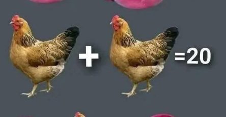 470194348 10171027112880144 3850854263750847983 n