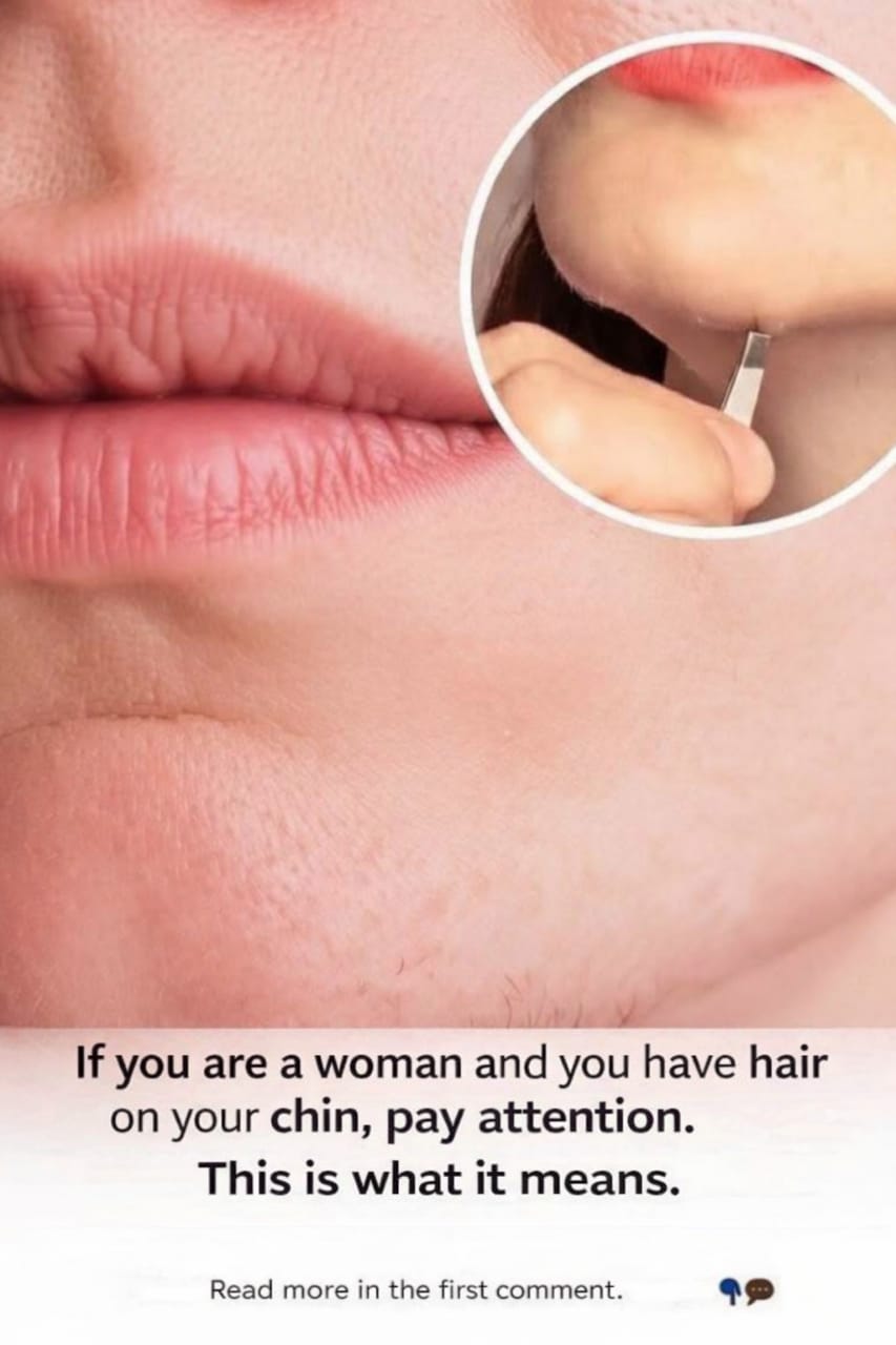 52150162 bc06 4a4d a2b2 14a7244ecd96