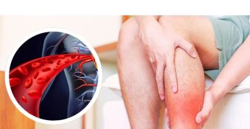 524303686 1305741634453763 8477343913081364002 n