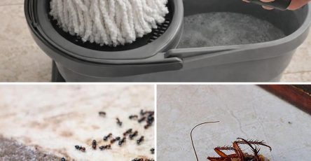 533483391 122186367368442225 4447405085649450298 n