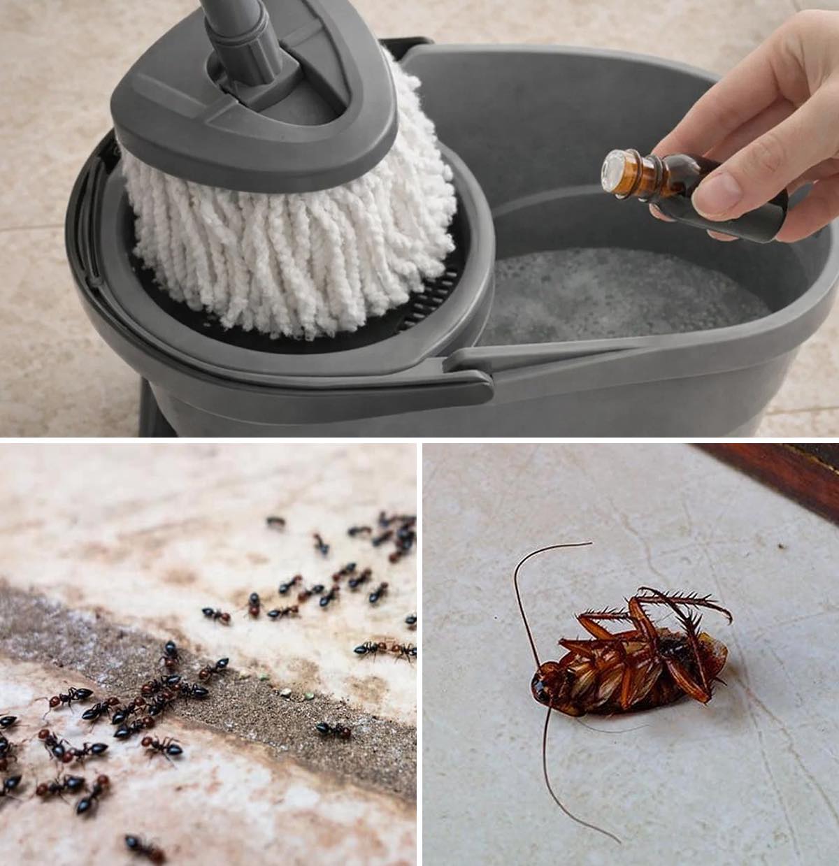 533483391 122186367368442225 4447405085649450298 n