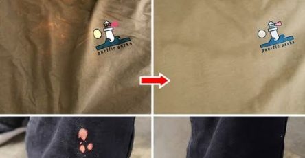 535295675 122174110616478581 4068230679318082452 n