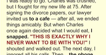 592962088 1412614886923873 3328565113958476051 n